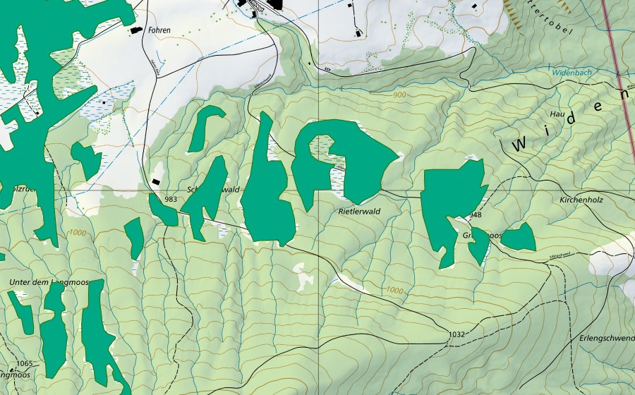 Landeskarte swisstopo mit dem Schutzperimeter von Gross Moos/Rietlerwald (Flachmoor)