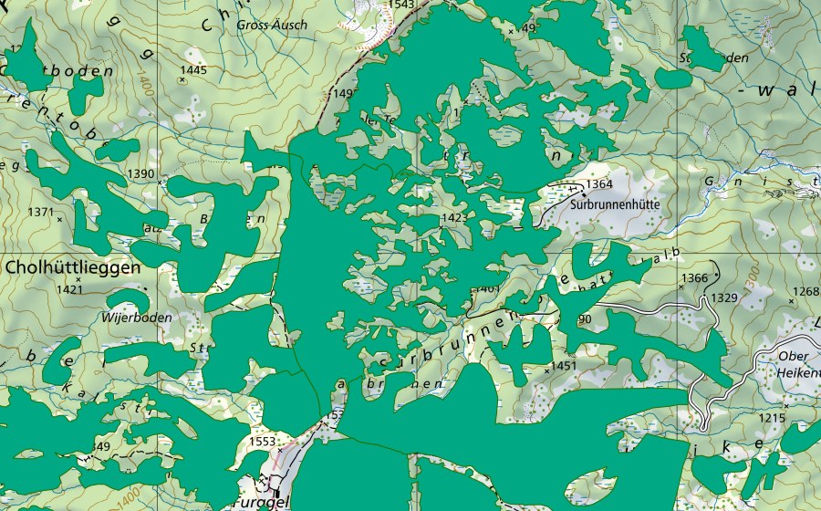 swisstopo national map showing the protected perimeter of Gross Seebli (Fen)