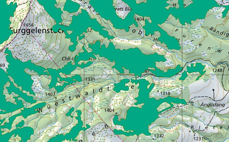 Carte nationale swisstopo avec le périmètre protégé de Gross Underbäch (Bas-marais)