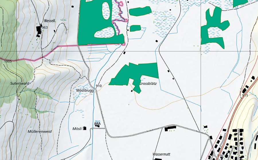 swisstopo national map showing the protected perimeter of Grossblätz (Fen)