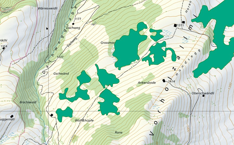swisstopo national map showing the protected perimeter of Grossmoos (Fen)