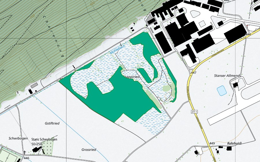 swisstopo national map showing the protected perimeter of Grossriet/Gnappiriet (Fen)