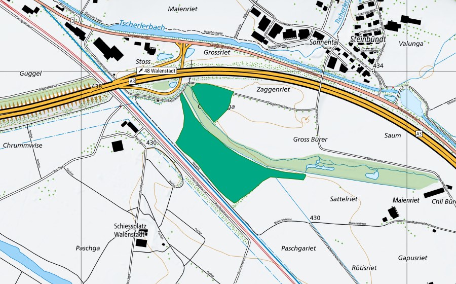 swisstopo national map showing the protected perimeter of Grossriet (Fen)