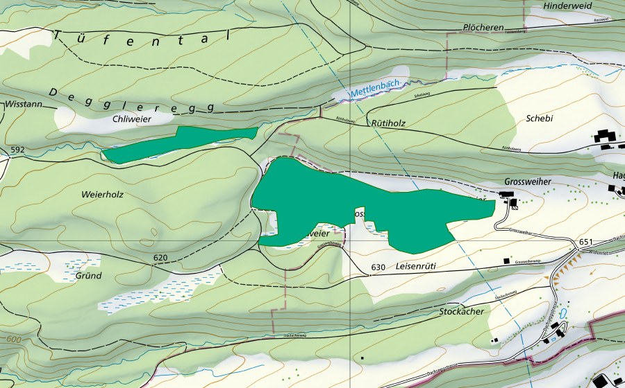 Carte nationale swisstopo avec le périmètre protégé de Grossweier (Bas-marais)