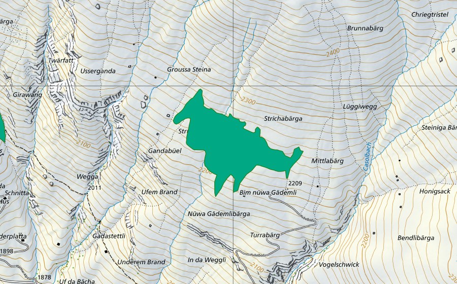 Carte nationale swisstopo avec le périmètre protégé de Groussa Steina (Bas-marais)