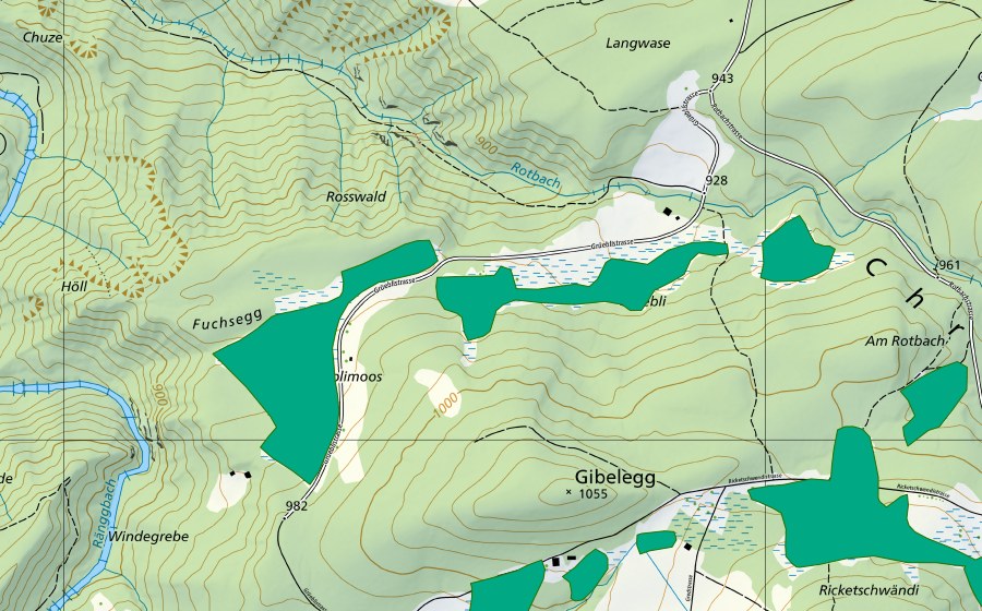 swisstopo national map showing the protected perimeter of Grüebli/Hintergrüebli (Fen)