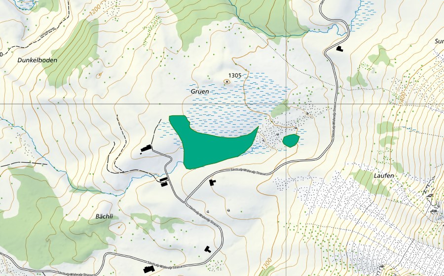 Carte nationale swisstopo avec le périmètre protégé de Gruen/Neuhüttli (Bas-marais)