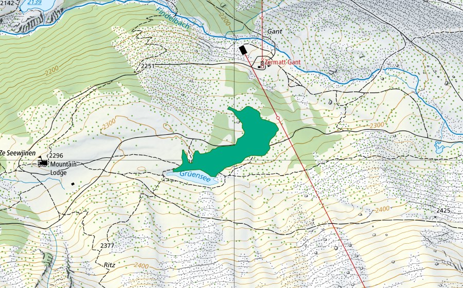 Landeskarte swisstopo mit dem Schutzperimeter von Grüensee (Flachmoor)