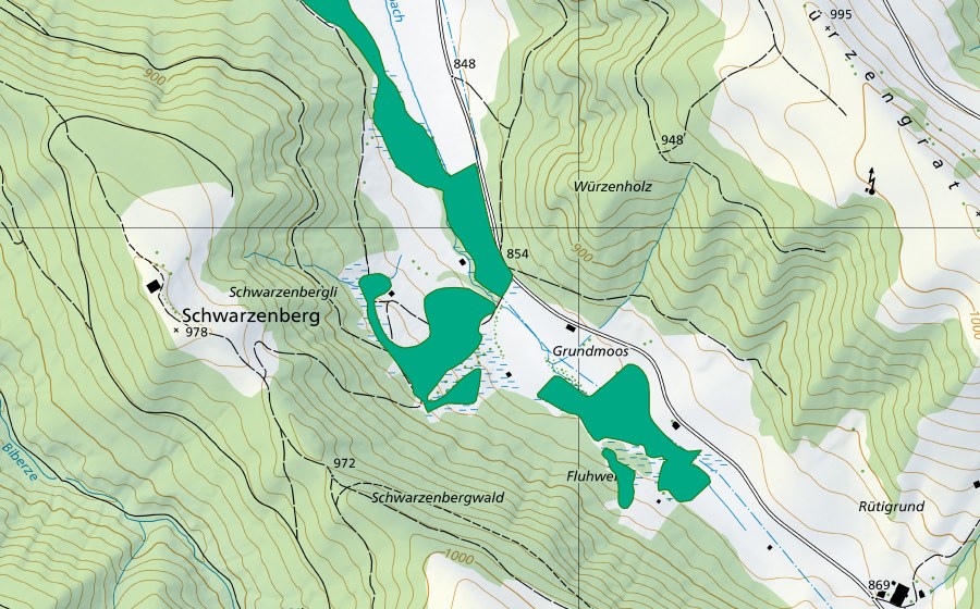 Landeskarte swisstopo mit dem Schutzperimeter von Grundmoos (Flachmoor)
