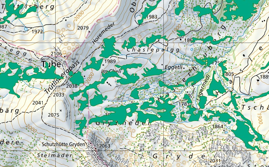 swisstopo national map showing the protected perimeter of Grydmeder, Chaslepalgg (Fen)