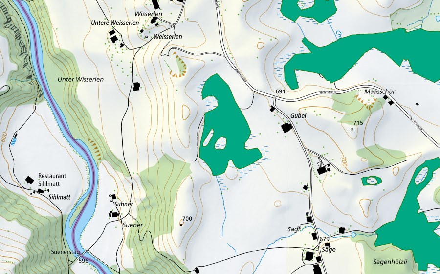 Landeskarte swisstopo mit dem Schutzperimeter von Gubelried (Flachmoor)