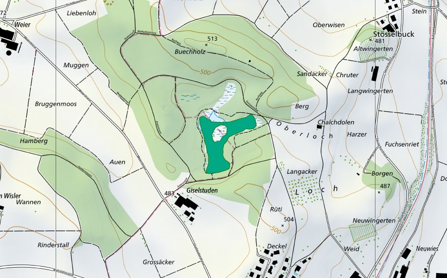 Carte nationale swisstopo avec le périmètre protégé de Gurisee (Bas-marais)
