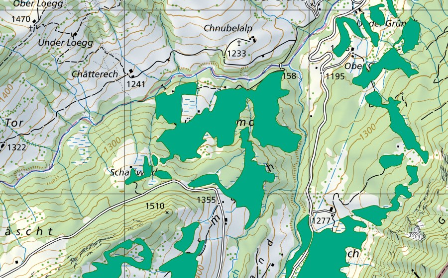 Landeskarte swisstopo mit dem Schutzperimeter von Gürmschmoos (Flachmoor)