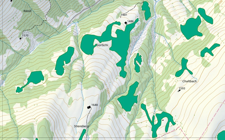 Landeskarte swisstopo mit dem Schutzperimeter von Gürtschi (Flachmoor)