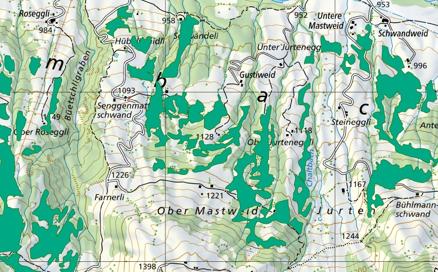 swisstopo national map showing the protected perimeter of Gustiweidli/Obere Mastweid (Fen)