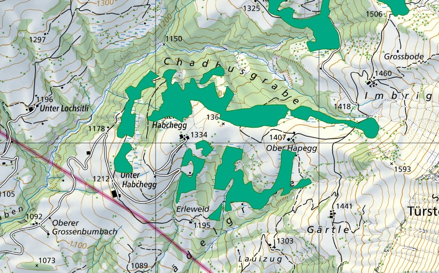 swisstopo national map showing the protected perimeter of Habchegg (Fen)