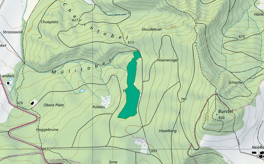 Carte nationale swisstopo avec le périmètre protégé de Hagelriet (Bas-marais)