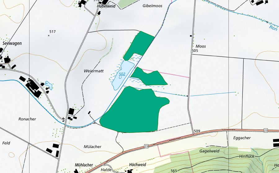 Landeskarte swisstopo mit dem Schutzperimeter von Hagimoos (Flachmoor)