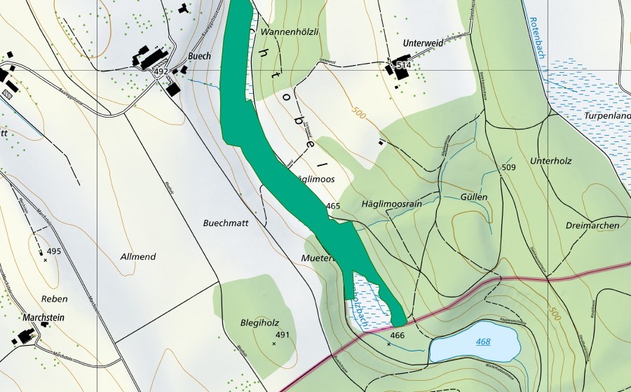 Carte nationale swisstopo avec le périmètre protégé de Häglimoos (Bas-marais)
