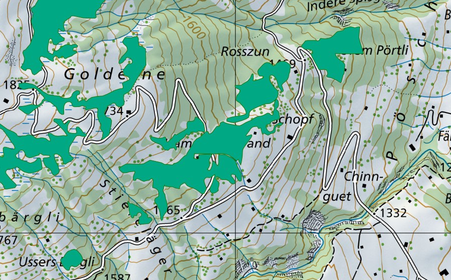 swisstopo national map showing the protected perimeter of Hammerschwand (Fen)