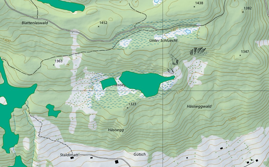 swisstopo national map showing the protected perimeter of Häsiseggboden (Fen)