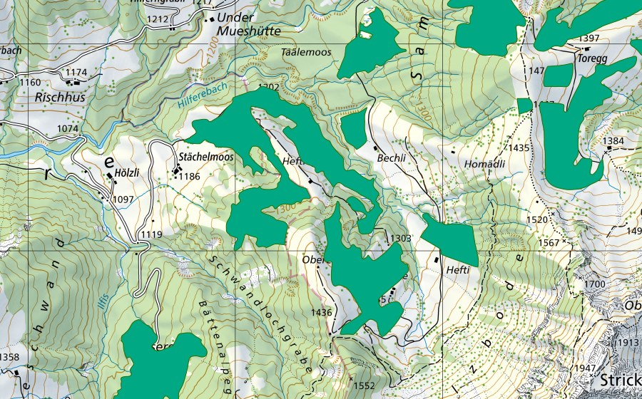 Carte nationale swisstopo avec le périmètre protégé de Hefti/Salzboden (Bas-marais)