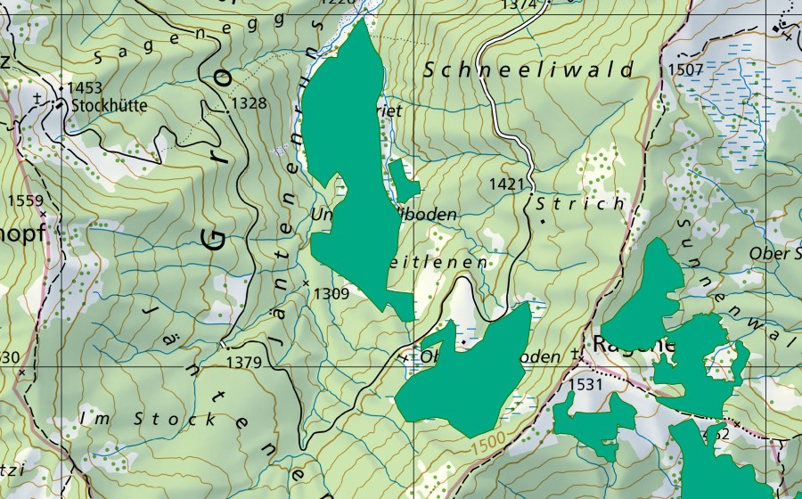 swisstopo national map showing the protected perimeter of Heitlenen (Fen)