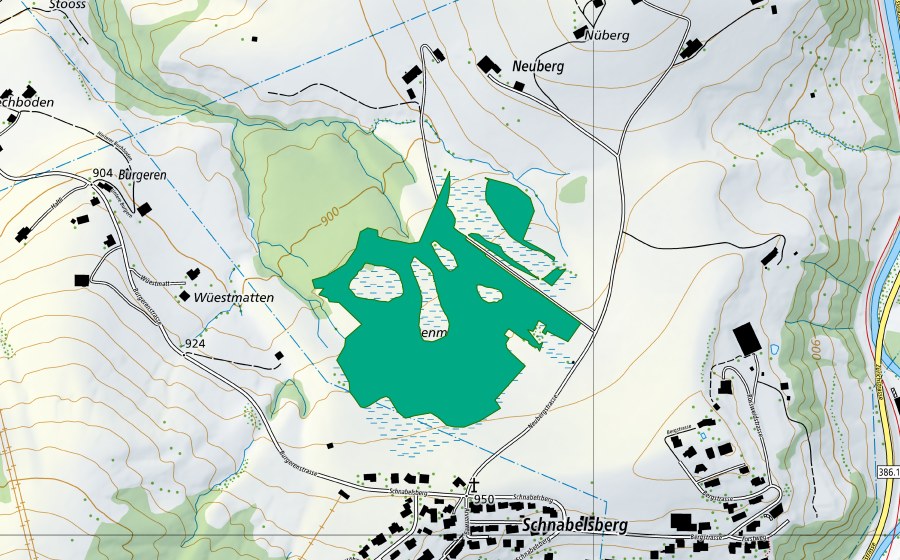 Carte nationale swisstopo avec le périmètre protégé de Hessenmoos (Bas-marais)