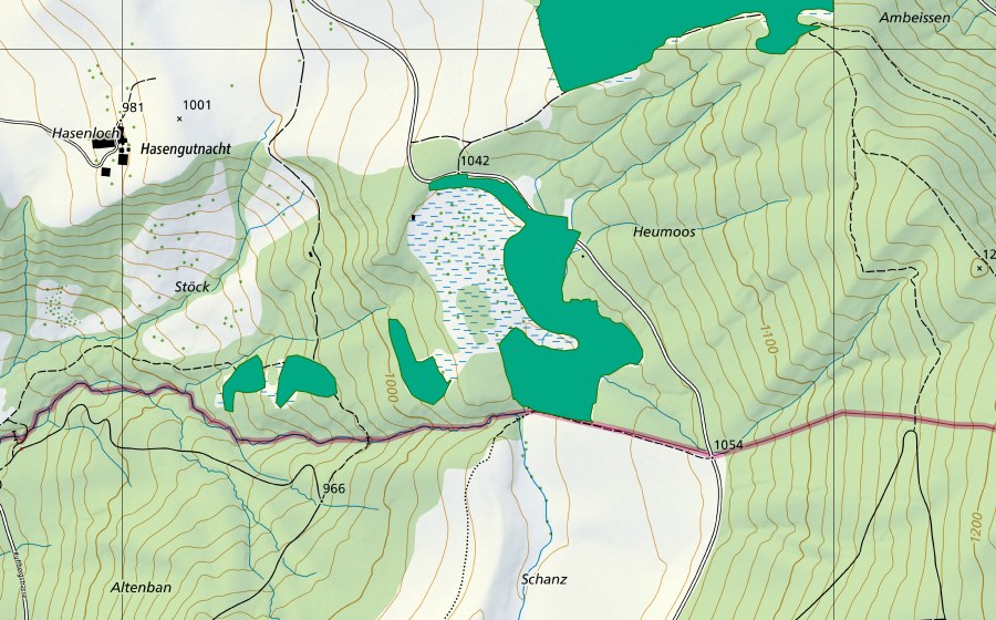 Carte nationale swisstopo avec le périmètre protégé de Heumoos (Bas-marais)