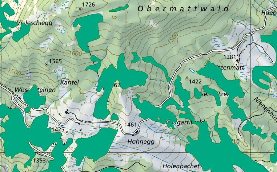 Carta nazionale swisstopo con il perimetro protetto di Heustettli/Bösen-Ritzenmatt (Torbiera bassa)