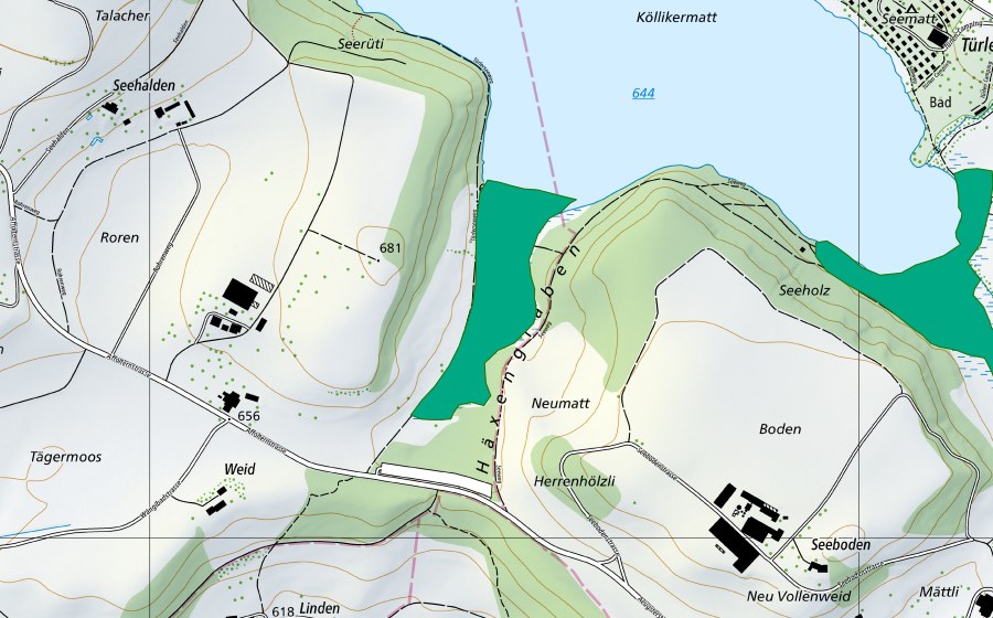 swisstopo national map showing the protected perimeter of Hexengraben (Fen)