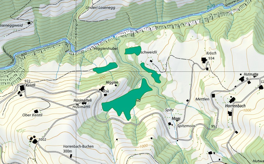 Landeskarte swisstopo mit dem Schutzperimeter von Higglenweid (Flachmoor)