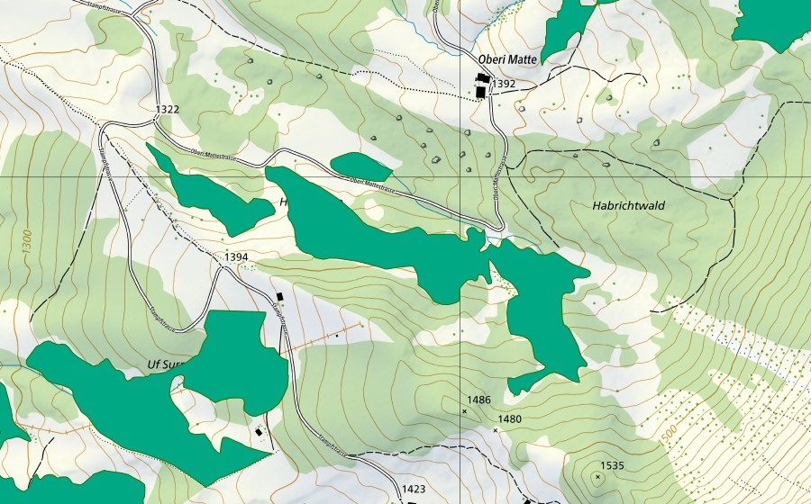swisstopo national map showing the protected perimeter of Hindersurre (Fen)