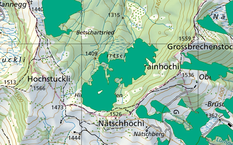 Landeskarte swisstopo mit dem Schutzperimeter von Hinter den Weiden (Flachmoor)