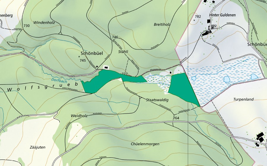 swisstopo national map showing the protected perimeter of Hinter Guldenen (Fen)