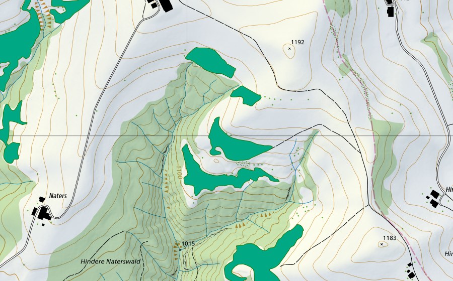 Landeskarte swisstopo mit dem Schutzperimeter von Hinter Lindenboden (Flachmoor)