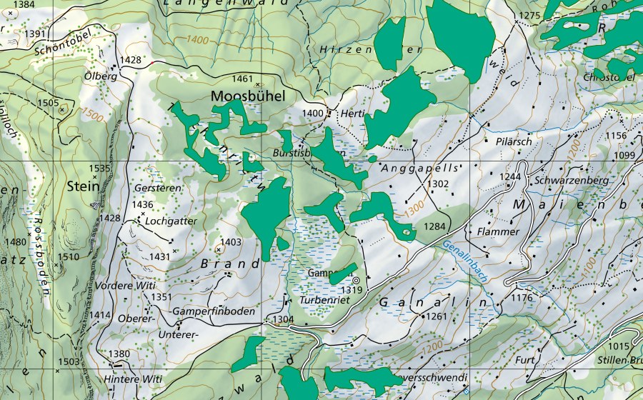 Landeskarte swisstopo mit dem Schutzperimeter von Hirzenbäder/Sommerweid (Flachmoor)