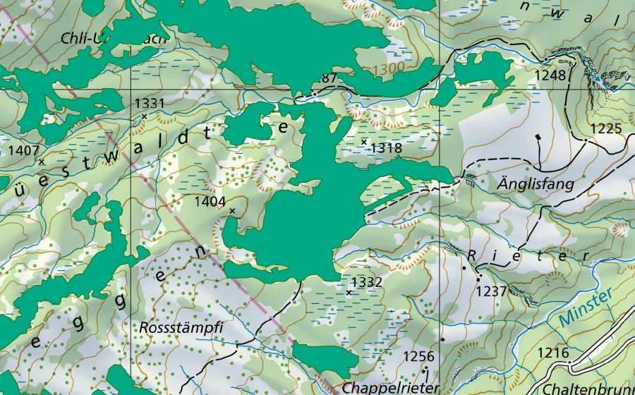 Landeskarte swisstopo mit dem Schutzperimeter von Hobacher (Flachmoor)