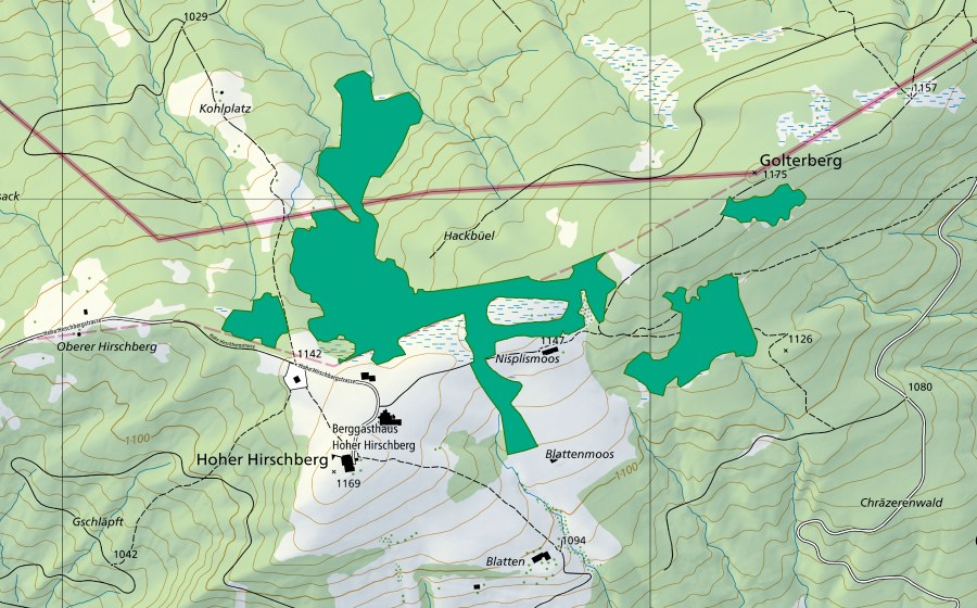 Carta nazionale swisstopo con il perimetro protetto di Höch Hirschberg (Torbiera bassa)