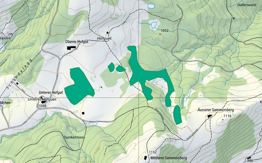 Landeskarte swisstopo mit dem Schutzperimeter von Hofguetmoor (Flachmoor)