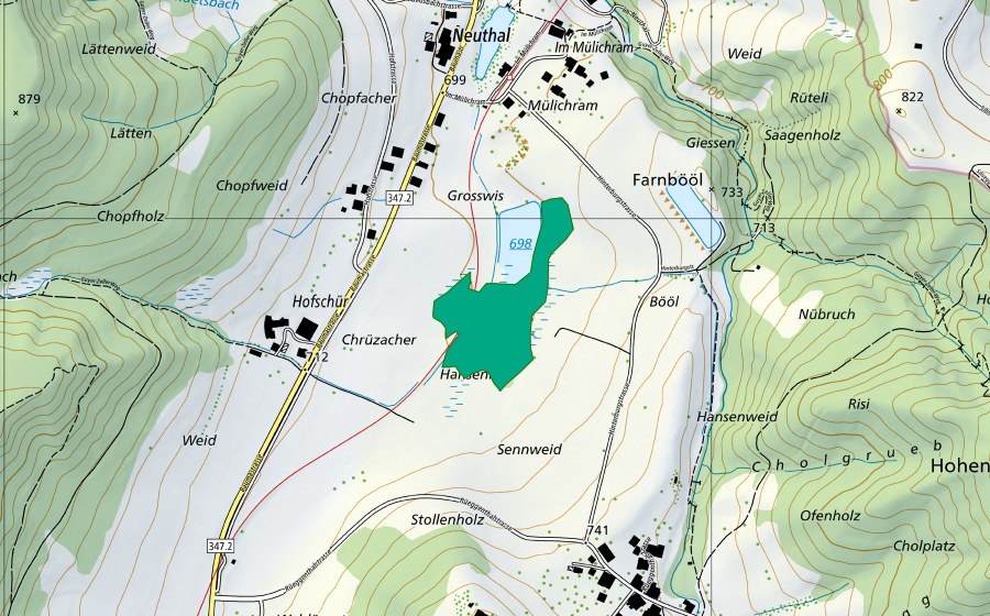 Landeskarte swisstopo mit dem Schutzperimeter von Hofschür (Flachmoor)