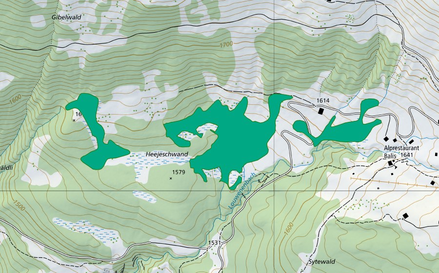 Carta nazionale swisstopo con il perimetro protetto di Höhenschwandmoor (Torbiera bassa)