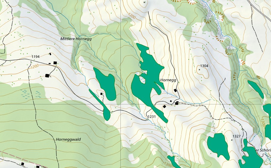 Carte nationale swisstopo avec le périmètre protégé de Horneggwald (Bas-marais)