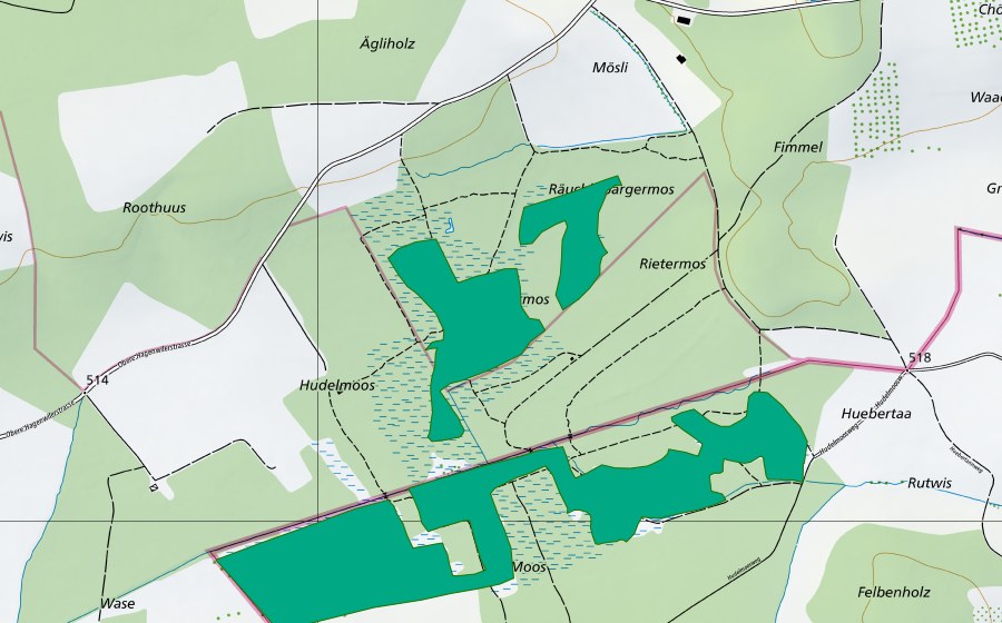 Landeskarte swisstopo mit dem Schutzperimeter von Hudelmoos (Flachmoor)