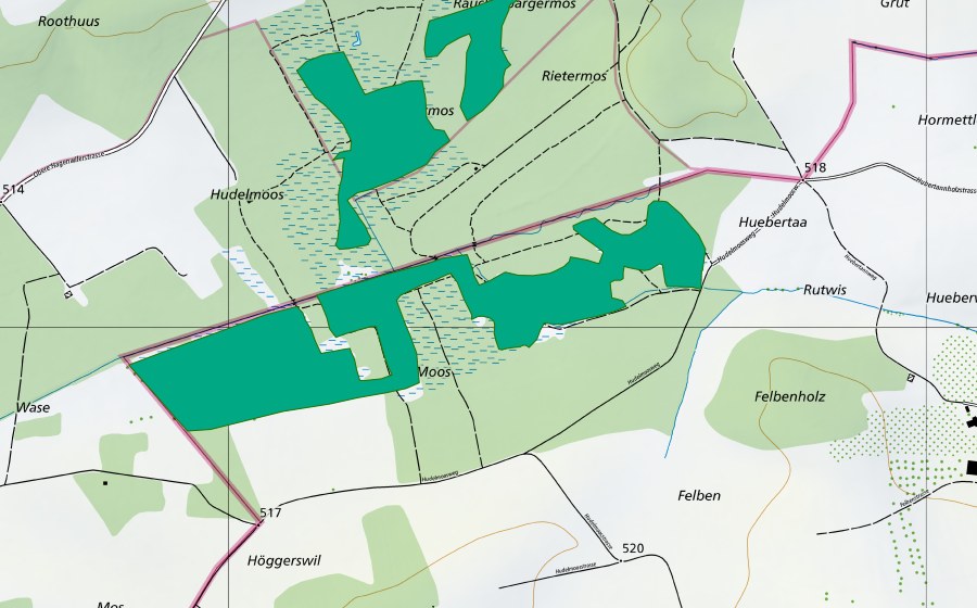 Carte nationale swisstopo avec le périmètre protégé de Hudelmoos (Bas-marais)