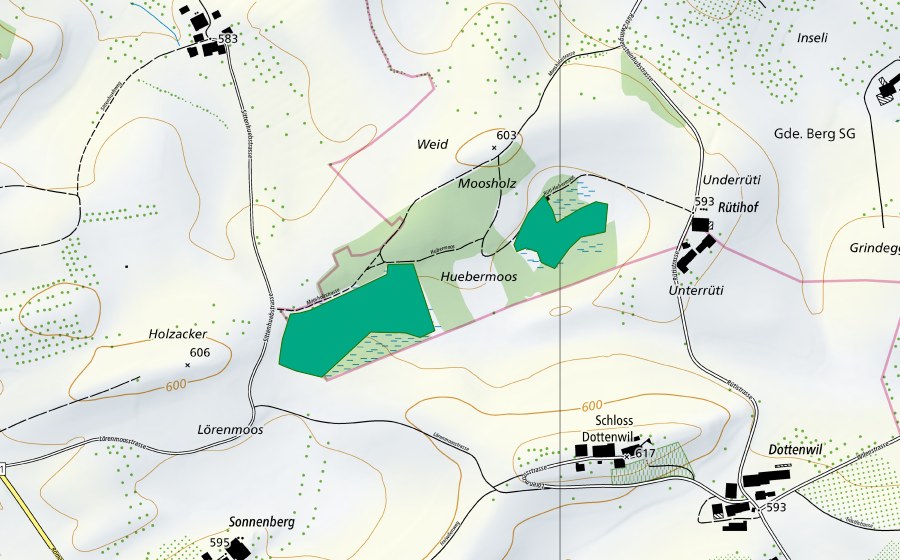 Landeskarte swisstopo mit dem Schutzperimeter von Huebermoos (Flachmoor)