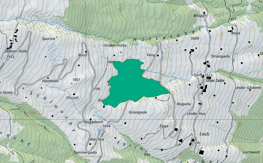 Carte nationale swisstopo avec le périmètre protégé de Hüttatobel (Bas-marais)