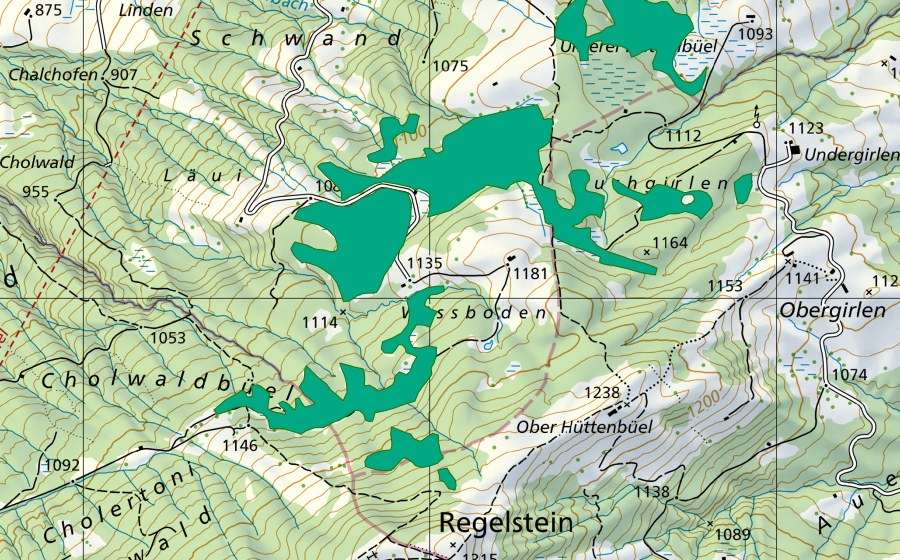 Carte nationale swisstopo avec le périmètre protégé de Hüttenbüel (Bas-marais)