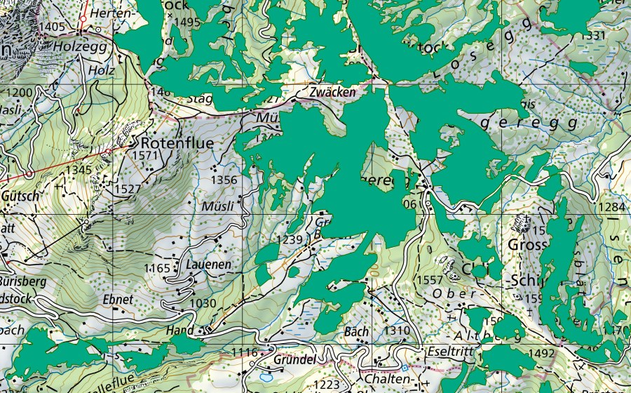 Landeskarte swisstopo mit dem Schutzperimeter von Ibergeregg-West (Flachmoor)