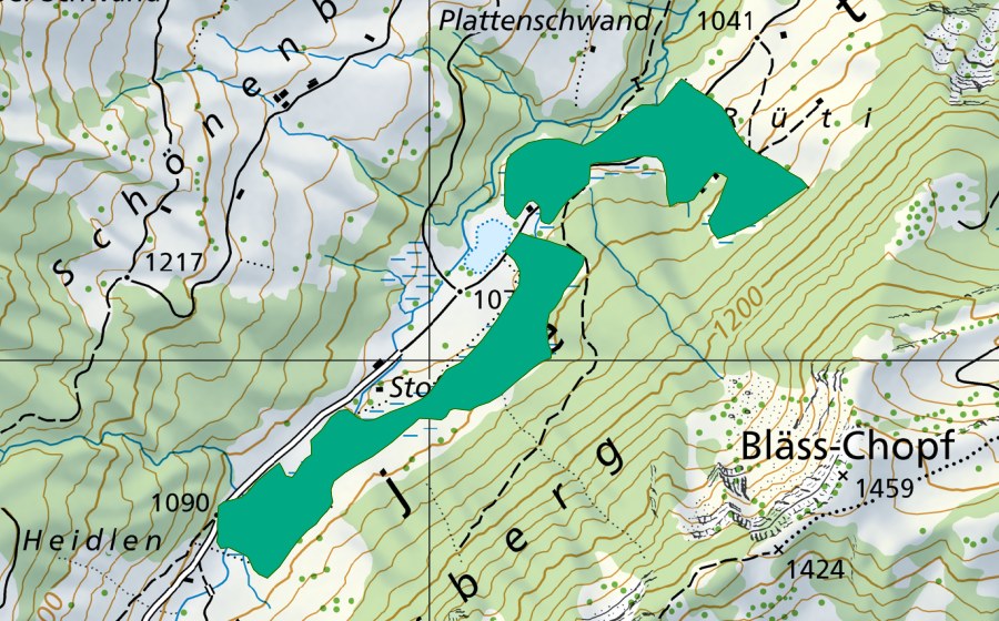 swisstopo national map showing the protected perimeter of Ijental (Fen)